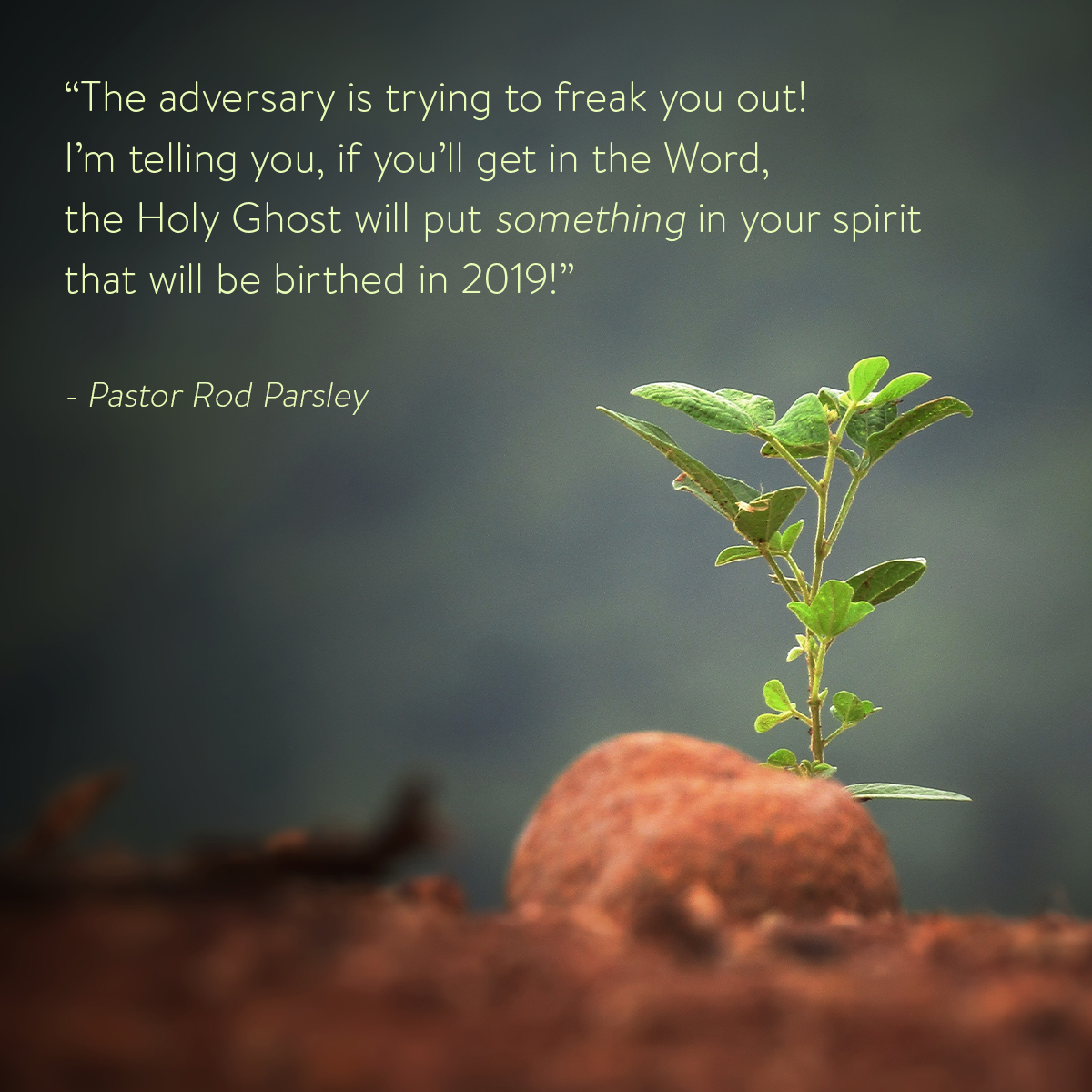 “The adversary is trying to freak you out! I’m telling you, if you’ll get in the Word, the Holy Ghost will put something in your spirit that will be birthed in 2019!” – Pastor Rod Parsley