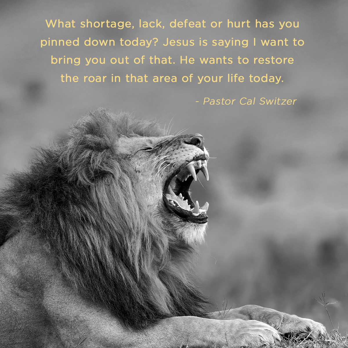 “What shortage, lack, defeat or hurt has you pinned down today? Jesus is saying I want to bring you out of that. He wants to restore the roar in that area of your life today.” – Pastor Cal Switzer